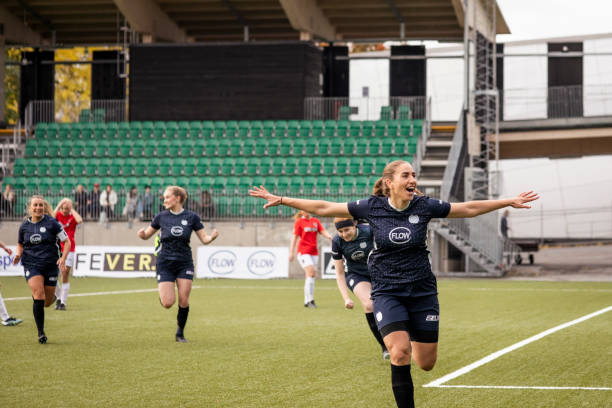 案例分析 案例分析