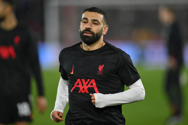 动态展望及 动态展望及